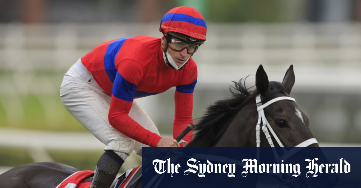 Max Presnell’s runner-by-runner guide to the Melbourne Cup