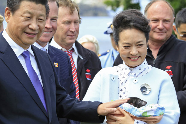 The 2014 visit to Hobart by Chinese President Xi Jinping and Madame PengLiyuan (pictured with a Tasmanian devil) spurred a flood of Chinese tourists.