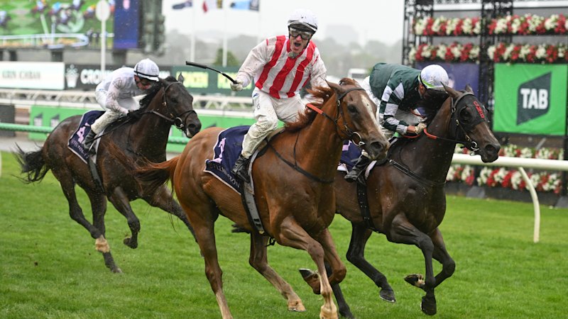 Race-by-race tips and previews for Randwick on Saturday