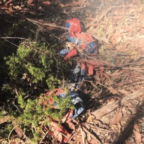 The Spider-Man suit planted by police in the bushland at Kendall. It was used as a surveillance tool.