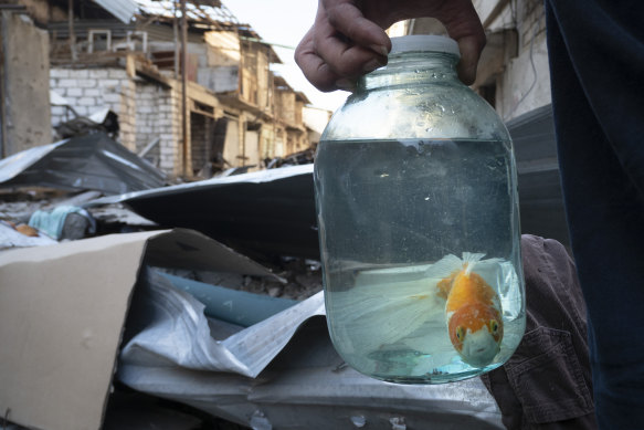 A man holds a jar with a fish that survived shelling by Azerbaijan in Stepanakert, Nagorno-Karabakh.
