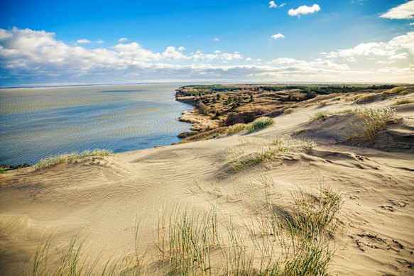 Dead Dunes in the Nagliai Nature Reserve on the Curonian Spit.