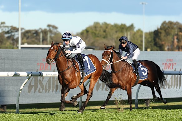 Tommy Berry takes a violent force to the victory in San Domeico Stakes.