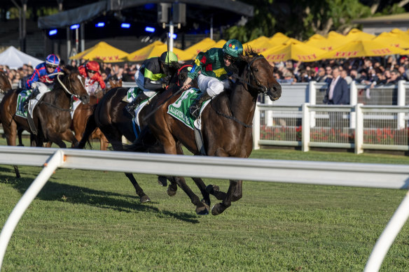 Tim Clark goes for home on Alligator Blood in the Stradbroke Handicap.