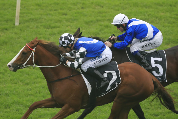 Itz Lily was a Randwick winner in June and resumes in race five. 