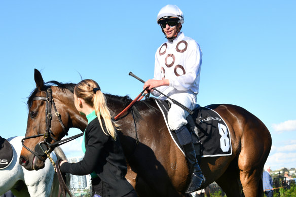 Lunar Flare has been scratched from the Melbourne Cup.