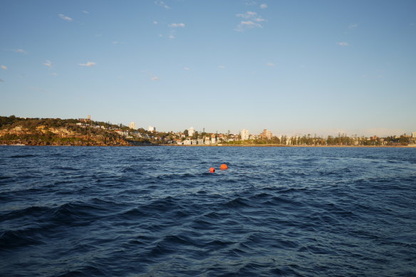 Drumlines off Manly Beach, in Sydney.