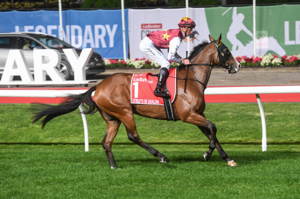 Streets Of Avalon will line up in the Darley Sprint Classic this weekend.