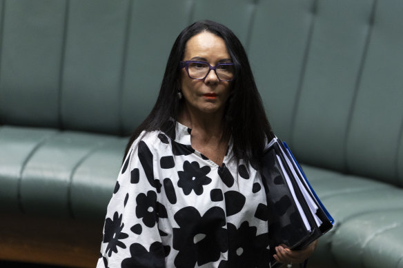 Indigenous Australians Minister Linda Burney admitted that progress towards reform has not met expectations.