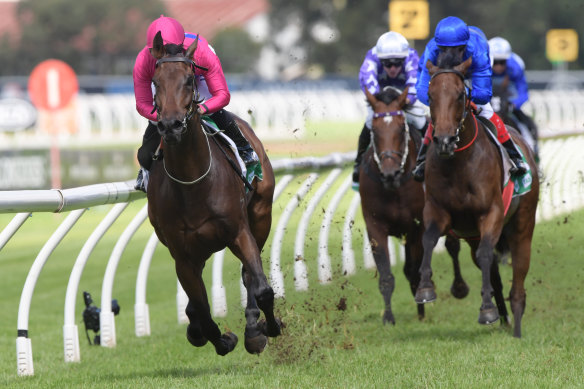  Angel Of Truth races away with  the Tulloch Stakes at Rosehill last year.