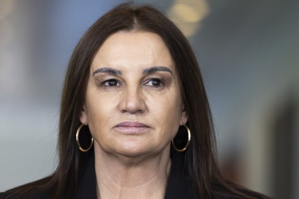 Senator Jacqui Lambie says she will scrutinise the effect of the reforms on small businesses.