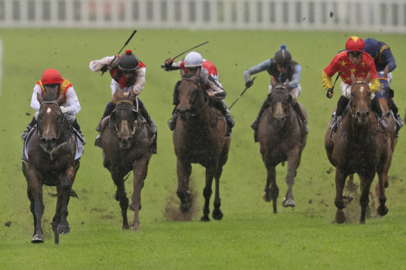 Peltzer, left, runs away with the Bondi Stakes as his rivals struggle in his wake.