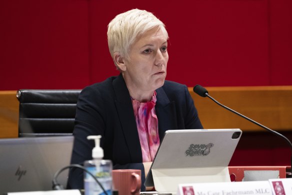 Greens MP Cate Faehrmann raised concerns about the retention of user-pays government charges.