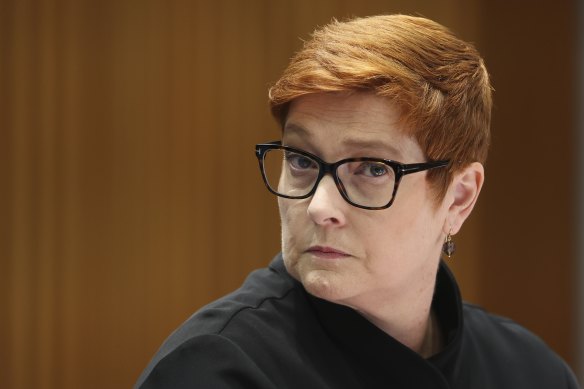 Marise Payne will co-chair a taskforce on women’s equality, which will include all women in cabinet, a role that Scott Morrison said will see her be the ‘prime minister for women’.