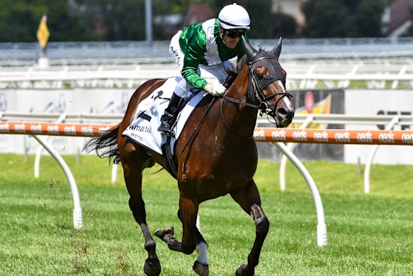 Enthaar continues bolt for the Blue