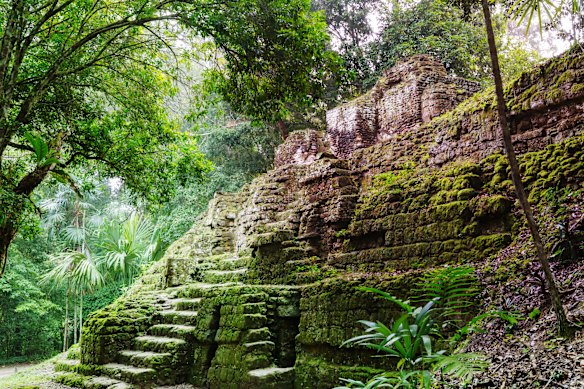 An ancient Mayan Temple in Tikal.