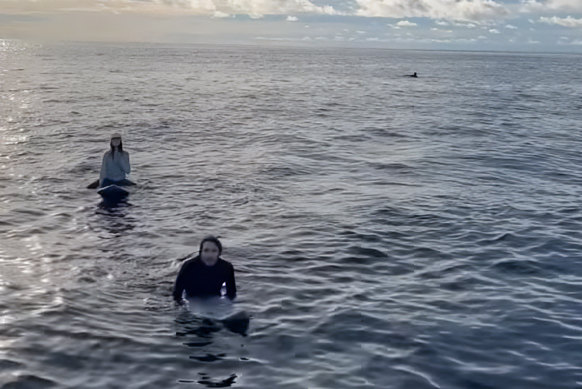 The moment three Australian surfers and an Indonesian crew member were found after 36 hours missing at sea. 