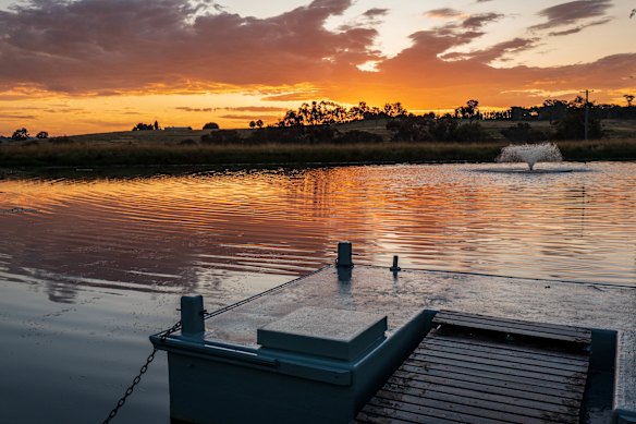 Swimming pond and pontoon.