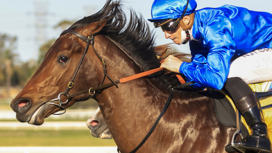 It is heard to defined how much Anamoe will improve in Saturday’s Golden Rose,, which has James Cummings and james McDonald excited