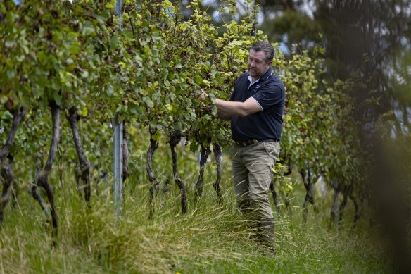 Wine Industry Association, says only 11.2 per cent of the wines on Sydney wine lists are from NSW.