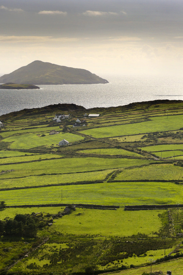 Pasturelands fold into the North Atlantic along the Ring of Kerry, on Ireland’s west coast.
