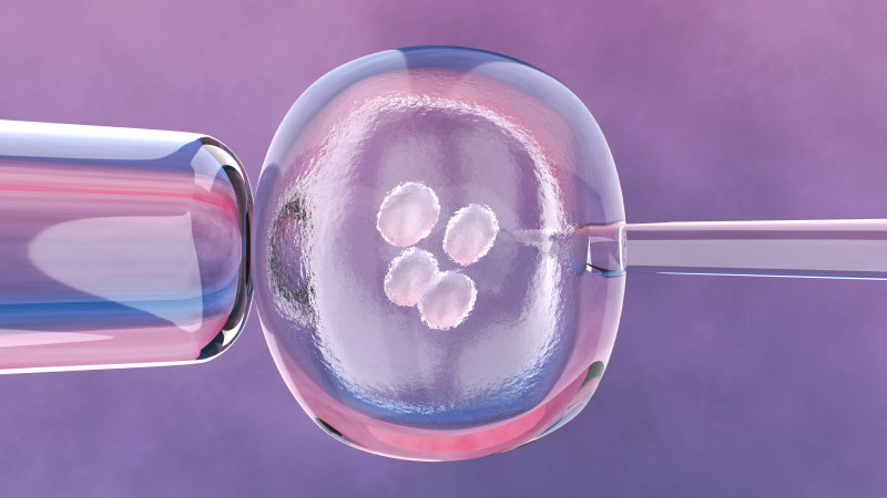 IVF clinics face stricter standards, threat of bans following embryo bungles
