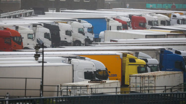 Britain's biggest port stopped all traffic heading to Europe, triggering delays to food supplies after the discovery of a new variant of the virus prompted a wave of countries to ban travel from the UK.