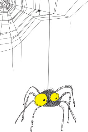 'If there’s one thing reading Charlotte’s Web taught me, it’s this: befriending a spider accrues benefits. Pidey, though, is no Charlotte and I no Wilbur.'