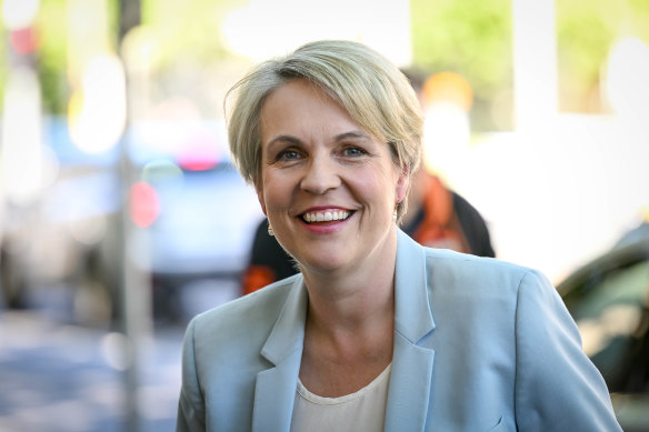 Federal Environment Minister Tanya Plibersek has rejected a Victorian port expansion because it meant dredging up to 92 hectares of protected wetlands.