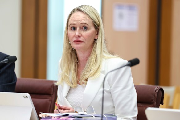 Chartered Accountants Australia and New Zealand chief executive Ainslie van Onselen ordered the new investigation.