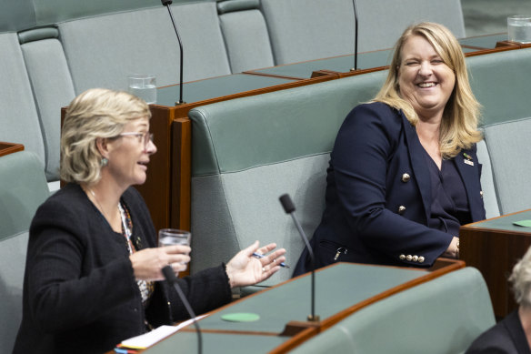 Zali Steggall (left) and Kylea Tink in parliament last year.
