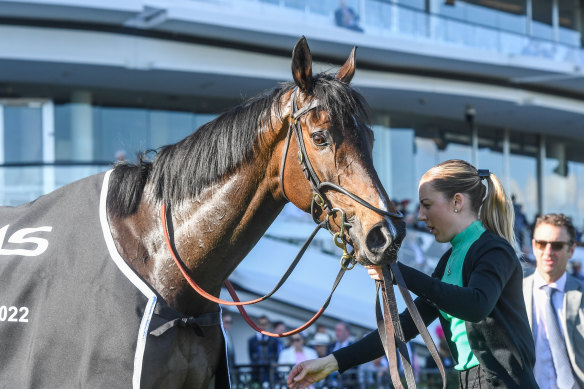 Lunar Flare won the Bart Cummings earlier this month at Flemington. 