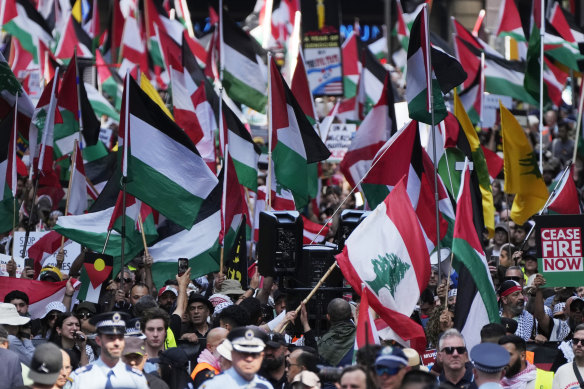 Pro-Palestinian demonstrators rally in Sydney on Sunday.