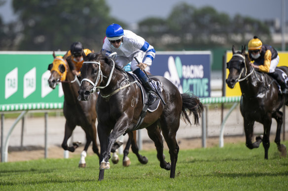Shaquero bursts clear in the Magic Millions Two-Year-Old Classsic.