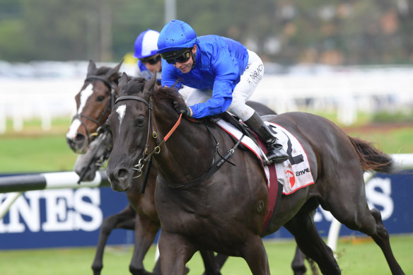 Avilius will look to defend his Tancred Stakes crown at Rosehill on Saturday.