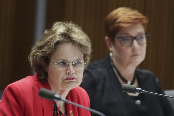 Department of Foreign Affairs and Trade secretary Frances Adamson and Foreign Minister Marise Payne.