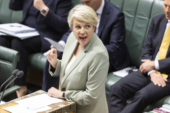 Federal Environment Minister Tanya Plibersek.