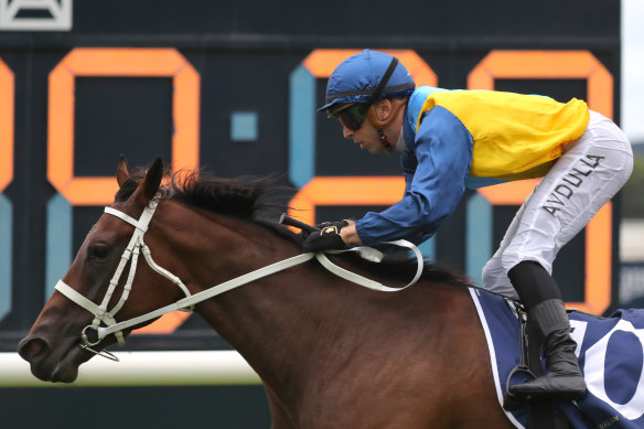 Brenton Avdulla rides Roots over the line in the Emancipation Stakes.