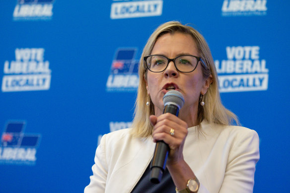 Libby Mettam could challenge David Honey’s Liberal party leadership within days.