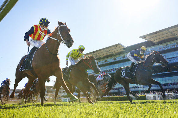 A tardy start likely cost Masked Crusader (No.6) the world’s richest race on turf a fortnight ago.