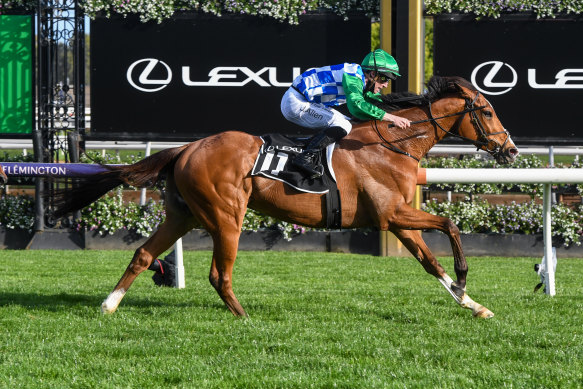 Grand Promenade won The Bart Cummings at Flemington on Saturday. 