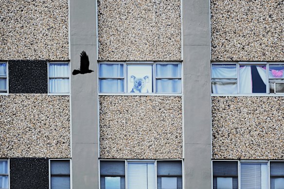 Redfern, home to a number of public housing towers, is among the new suburbs of concern to NSW health authorities.