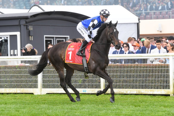 Connections are going to let the dust settle before deciding whether Gold Trip heads to the Melbourne Cup.