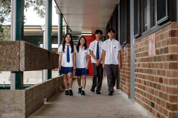 Canley Vale High is ranked in the top 20 comprehensive schools on an average mark analysis for multiple subjects.