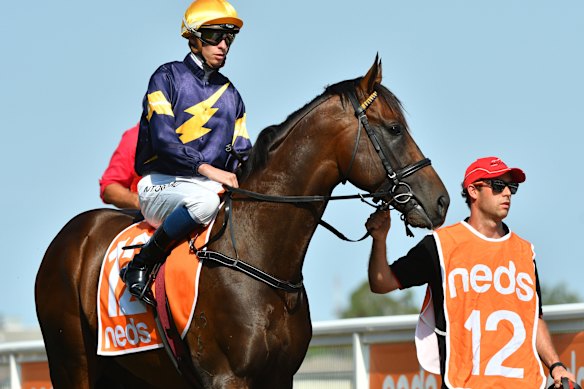 Alabama Express won the C.F. Orr Stakes earlier this month.