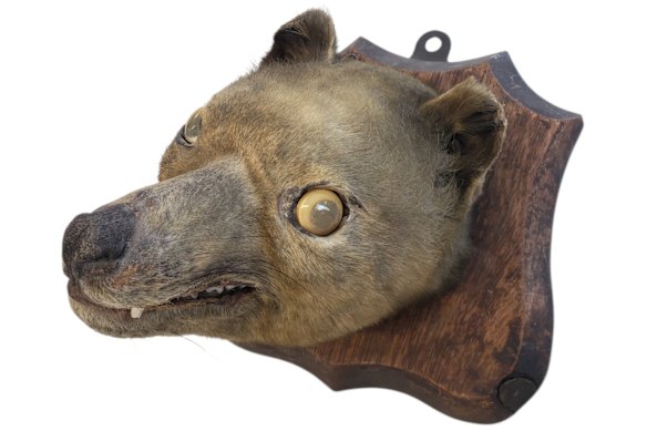 An image from the auction site selling what was referred to as a “fox mask”.