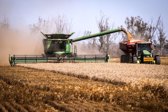 Barley, exports of which had been worth $600 million a year, was the first commodity hit by China’s campaign of economic coercion.