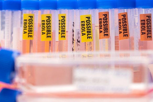 Blood samples being tested for infection with Ebola virus.