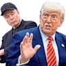 Elon Musk and Donald Trump.