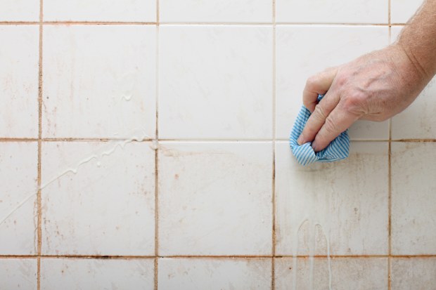 Mouldy grout